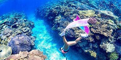 emix ishigaki - Hostel