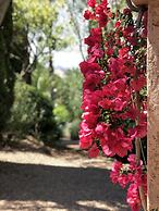 Les Toits de Santa Giulia