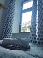 Apartment im Luisenviertel - Grün