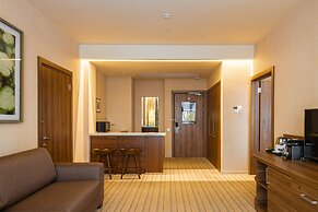 Elements Kirov Hotel 5*