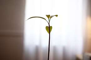 Live in Athens, Thiseio Historic House