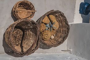 Lotus Sweet Home Hydra