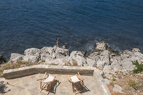 Lotus Sweet Home Hydra