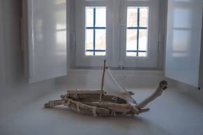 Lotus Sweet Home Hydra