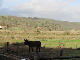 Cantinho Algarvio Odeceixe
