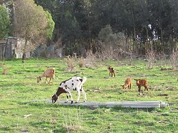 Cantinho Algarvio Odeceixe
