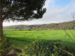 Cantinho Algarvio Odeceixe