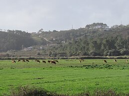 Cantinho Algarvio Odeceixe