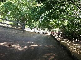 Vasilikia Mountain Farm & Retreat