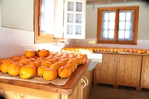 Vasilikia Mountain Farm & Retreat