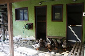 Vasilikia Mountain Farm & Retreat