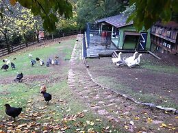 Vasilikia Mountain Farm & Retreat