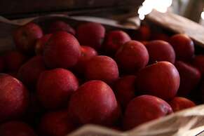 Vasilikia Mountain Farm & Retreat