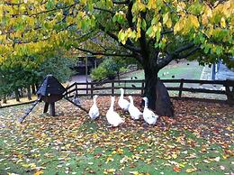 Vasilikia Mountain Farm & Retreat