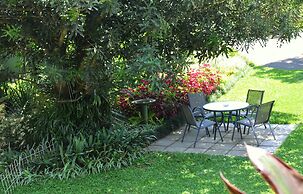 Birds of paradise B&B