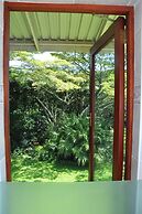 Birds of paradise B&B