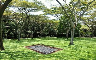 Birds of paradise B&B