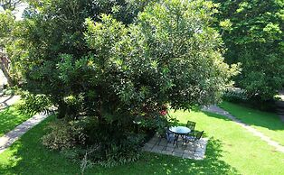 Birds of paradise B&B