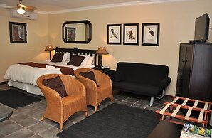 Birds of paradise B&B