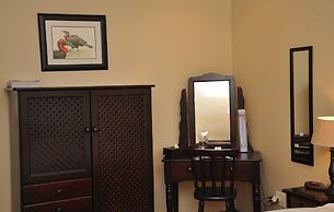 Birds of paradise B&B