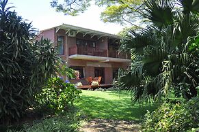 Birds of paradise B&B