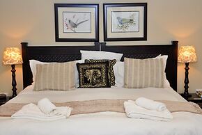 Birds of paradise B&B