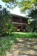 Birds of paradise B&B