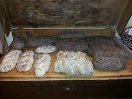 Agriturismo Ca' le Suore