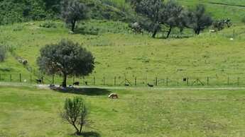 Agriturismo Mama Lina