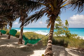 Exuma Palms