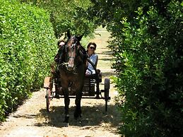 Tenuta Sant'Andrea