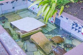 Sword Fish Beach Suite at Turtle Towers