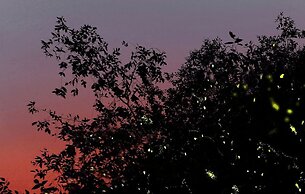 Sekinchan Seaview Homestay