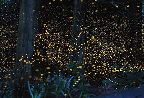 Sekinchan Seaview Homestay