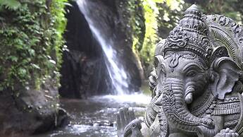 Bali Jungle Huts