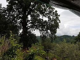 Agriturismo Cisogna