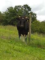 Agriturismo Cisogna