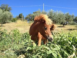 Agriturismo Oliveta