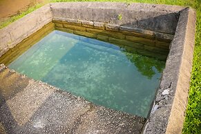 Horahena Farm Stay