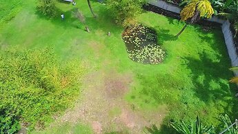 Horahena Farm Stay