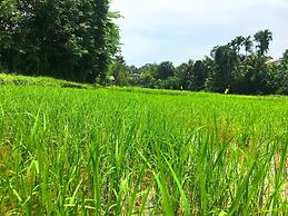 Horahena Farm Stay