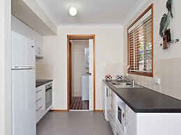 Beachcomber at Fingal Bay