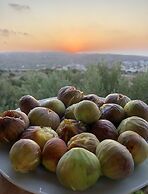 Theoxenia Suites & Apartments