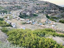 Theoxenia Suites & Apartments