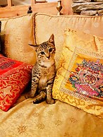 Three Jewels Boutique Hotel