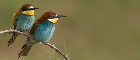 La Posada de los Sentidos