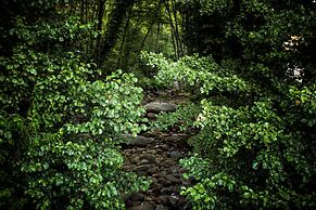 La Posada de los Sentidos