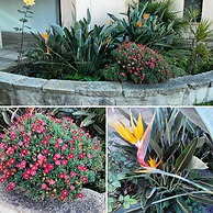 Agriturismo Agrifoglio