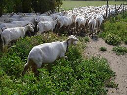 Agriturismo Agrifoglio