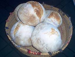 Agriturismo Agrifoglio